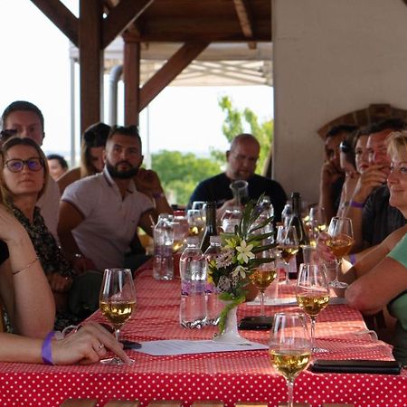 Katica Vendeghaz Otel Tarcal Dış mekan fotoğraf