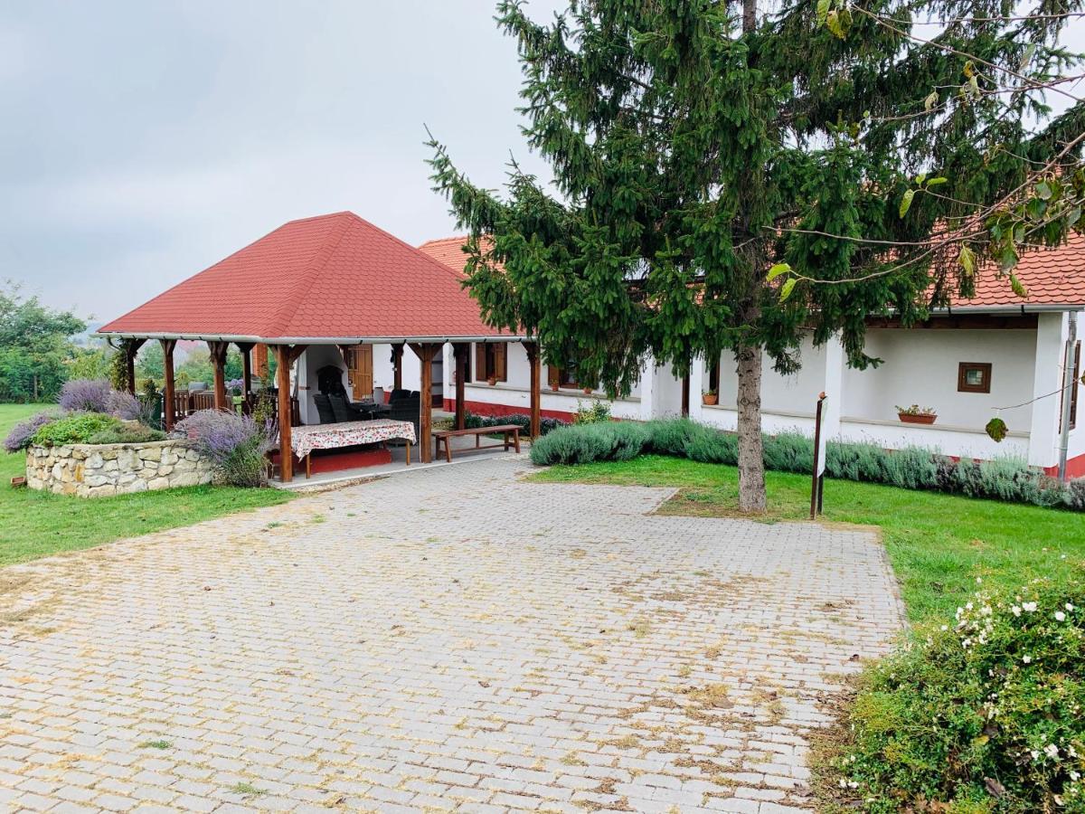 Katica Vendeghaz Otel Tarcal Dış mekan fotoğraf